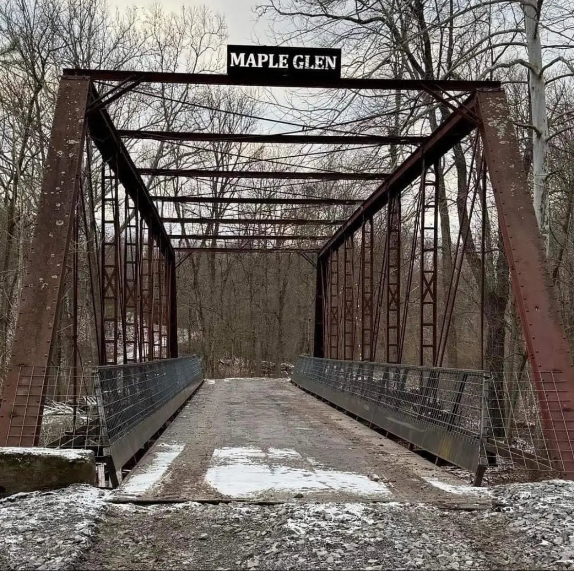 rail car bridge in winter in a wooded area