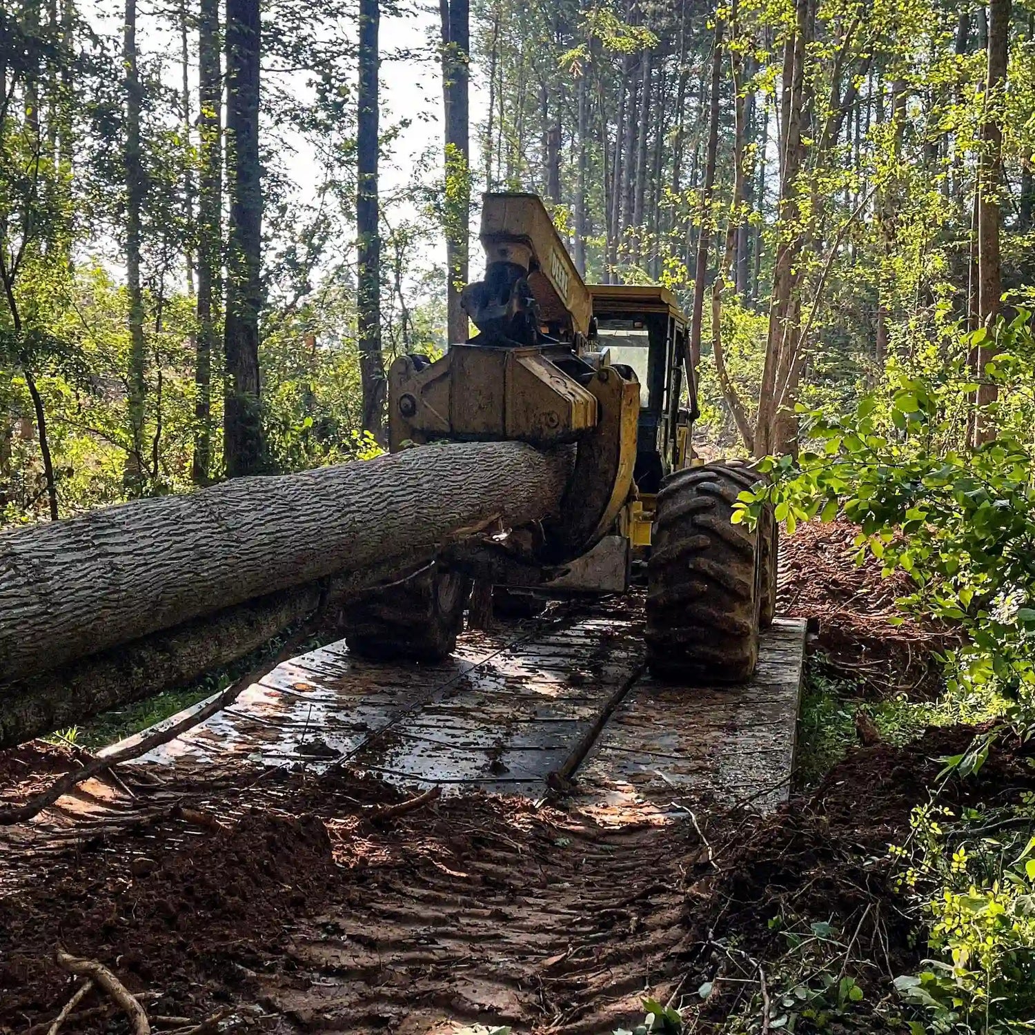 Rear view of a forestry skidder hauling a log across a steel logging bridge in a wooded logging site.
