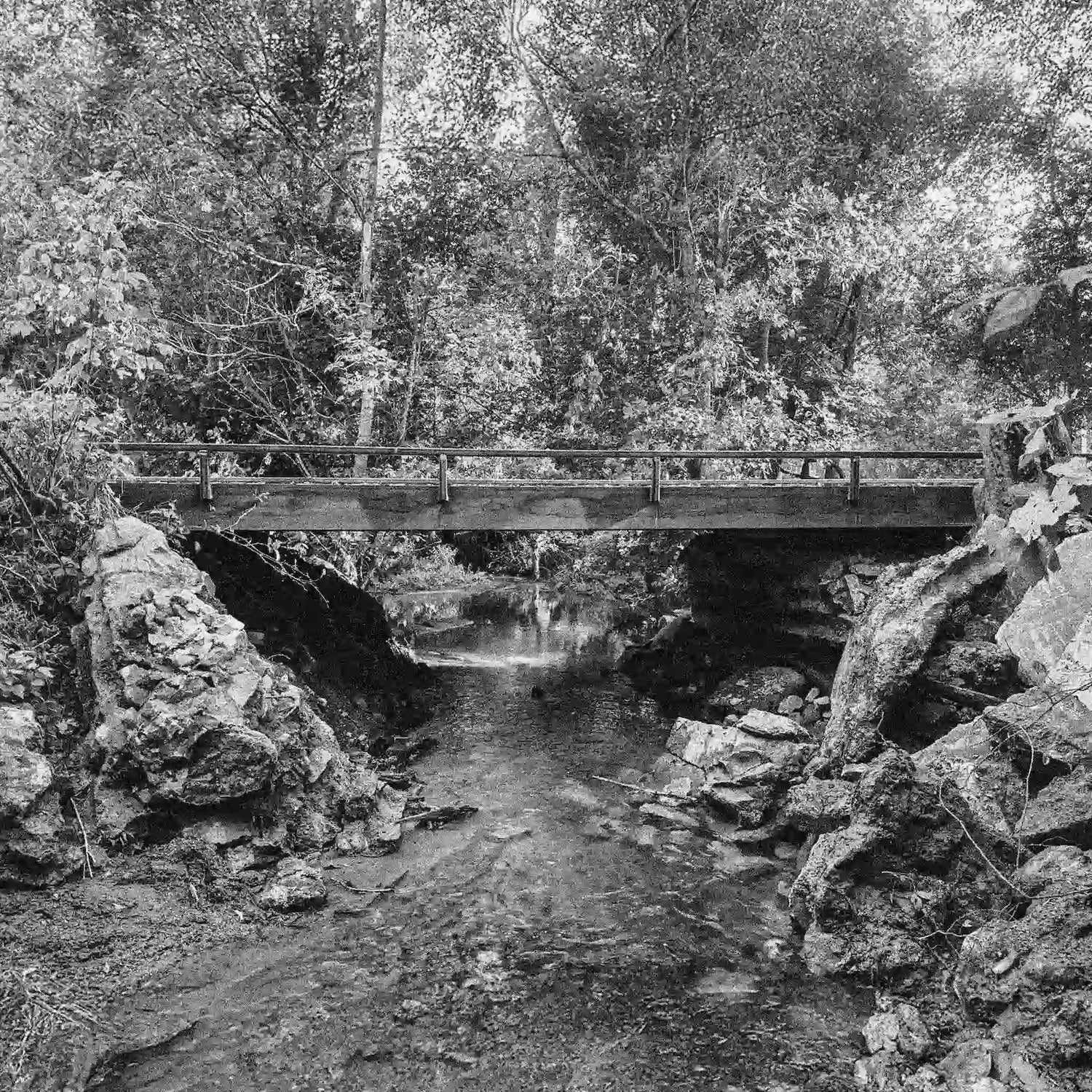 portable steel bridge over a stream in a wooded area